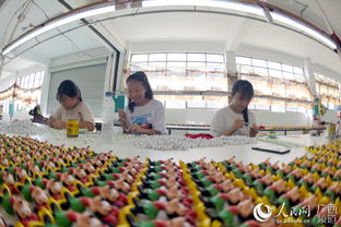 廣西三江 就業安置助脫貧，搬家服務暖心行